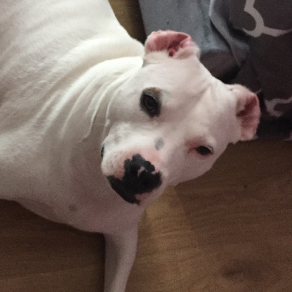 Meet your Posher, Maria